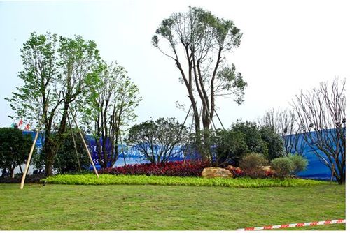 福清市人大代表视察城市园林绿化工作
