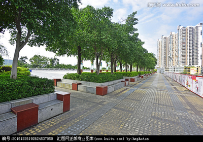 城市园林 城市绿化