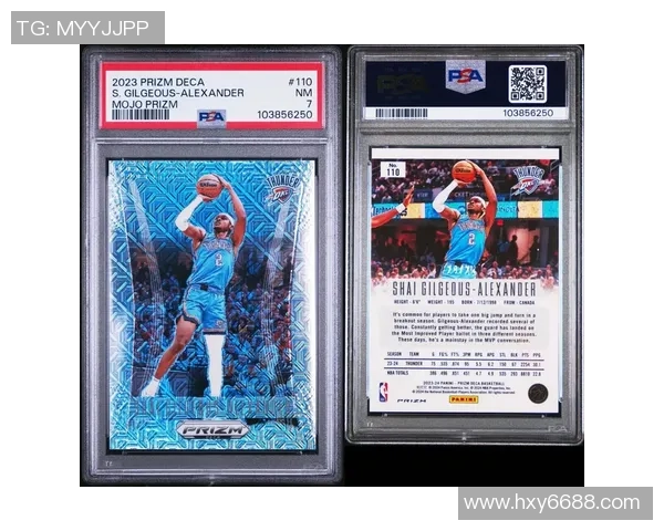 姚明签名英文的独特魅力与收藏价值探讨